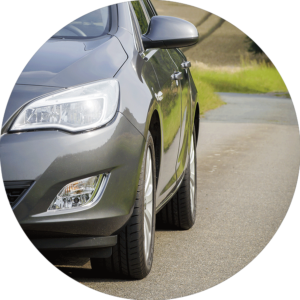 Göhlich_Umwelthygiene_Dienstleistungen_Mardervergraemung_Loesung