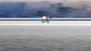 Göhlich_Ratte traditionell_Standbild